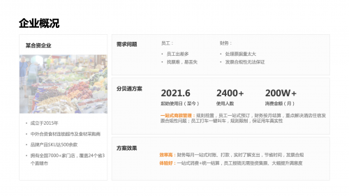 某大型消费企业的费用管控实施方案