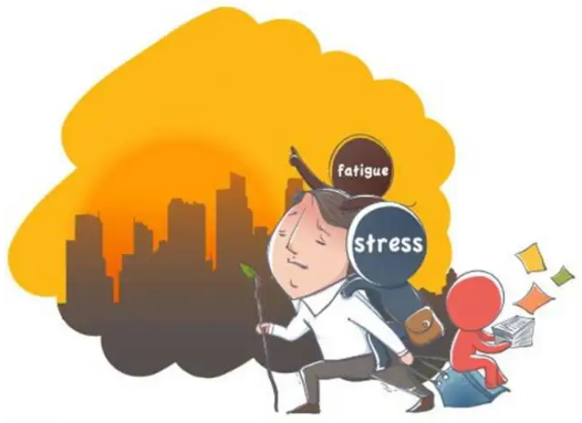 财务管理混乱应该是谁的责任？