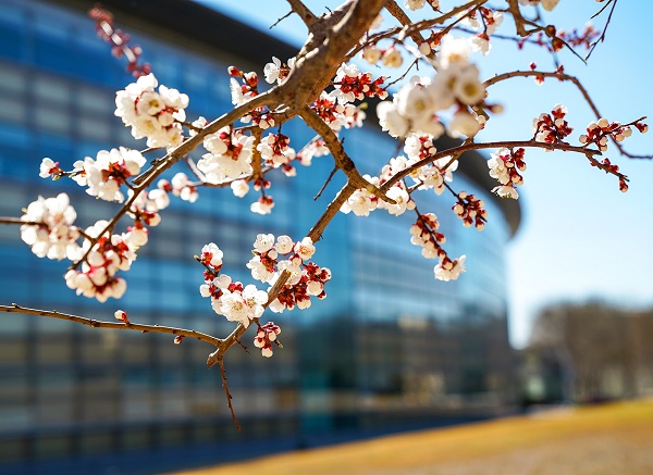 发挥优势，推动学院高质量发展 ——2020新年贺词